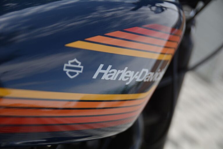 Harley-Davidson Sportster 1200 XL1200NS Iron 1200 Euro 4