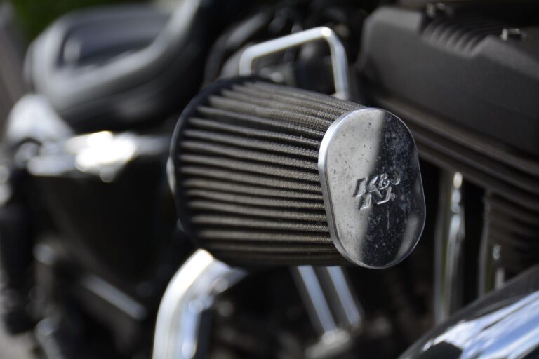 Harley-Davidson Sportster 1200 XL1200NS Iron 1200 Euro 4