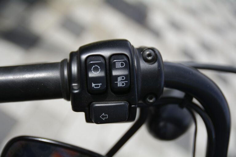 Harley-Davidson Sportster 1200 XL1200NS Iron 1200 Euro 4