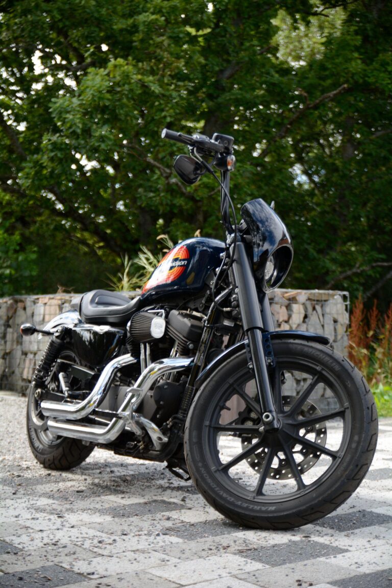 Harley-Davidson Sportster 1200 XL1200NS Iron 1200 Euro 4